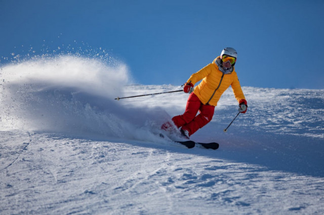 Vosges dans l'vent : alpine skiing