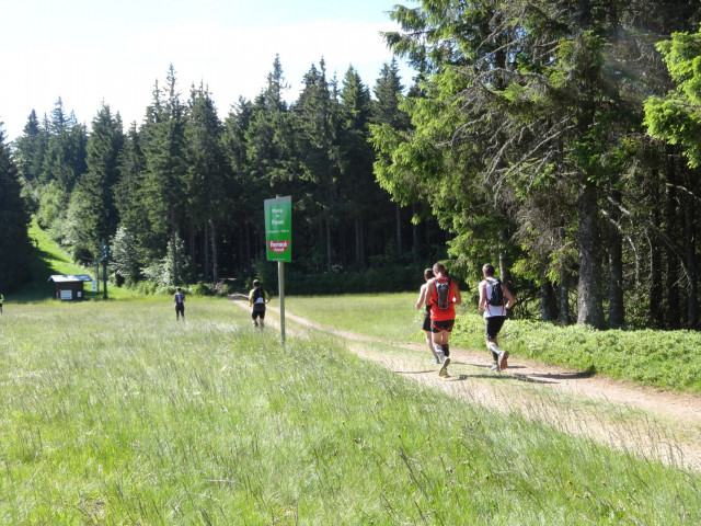 Randonnées Marche nordique / Trail