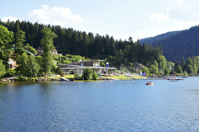 Activit&eacute;s nature