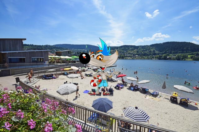 Holiday Pass
