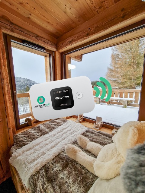Pocket WiFi