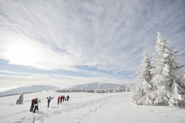 Guided Hiking
