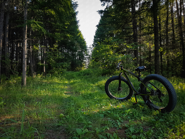 Randonnées à vtt assistance électrique