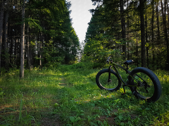 Rando vtt électrique / fatbike