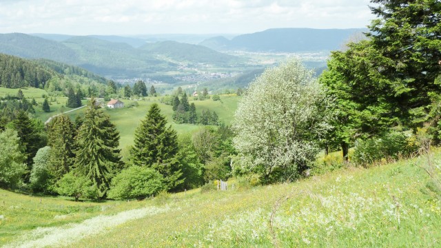 Locations dans le Ban de Vagney