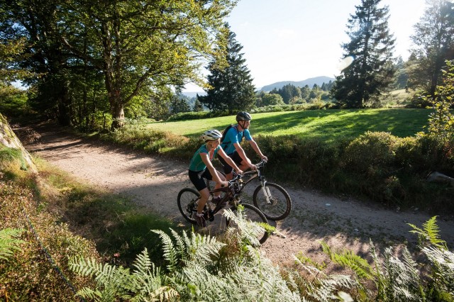 Mountainbike, e-bike