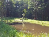 camping-au-clos-de-la-chaume-vosges-etang-952