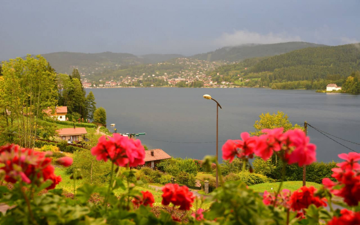 Room 131249-343544 Room 131249-343544