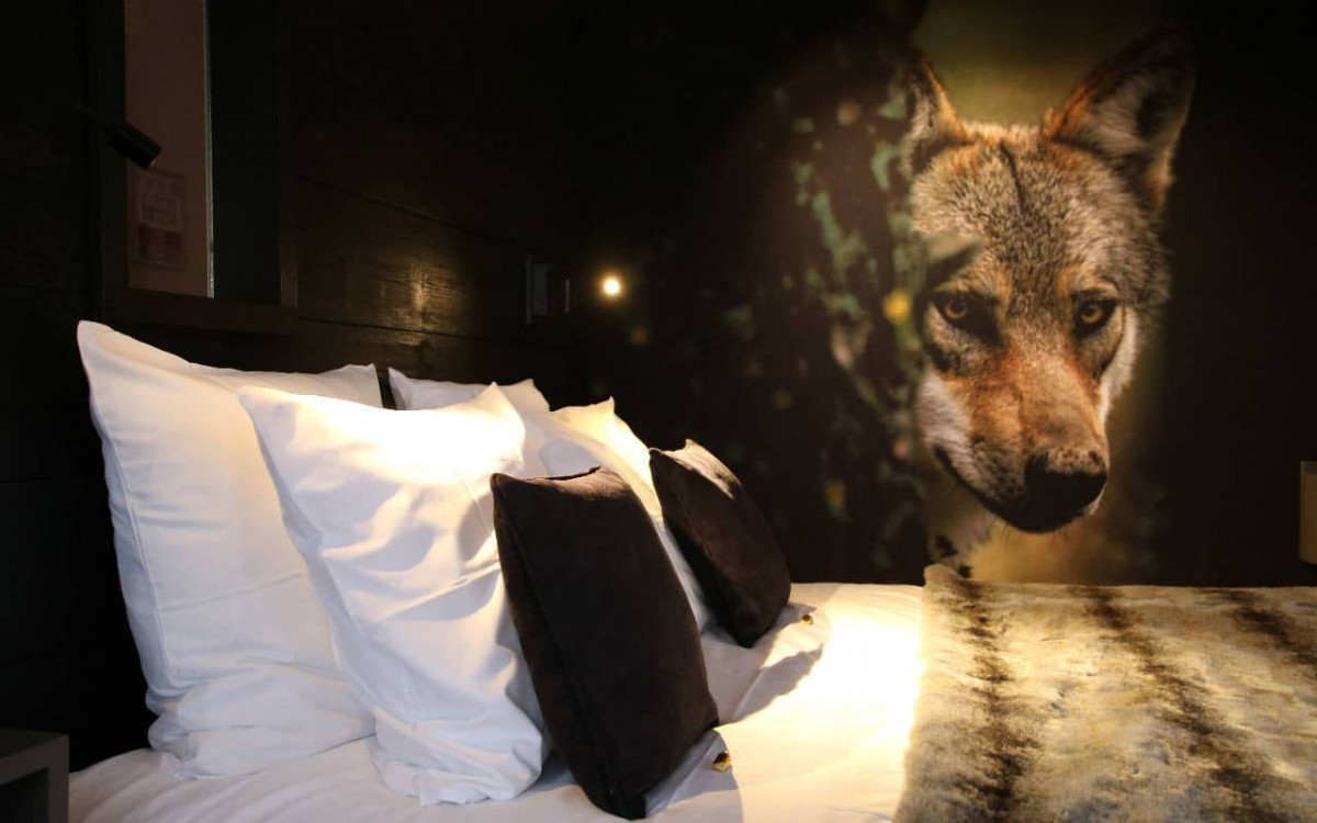 LOUP GRIS-NUIT EN CHAMBRE LOUP GRIS