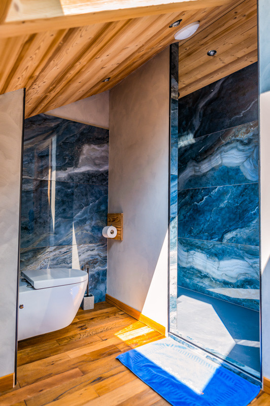 gentiane-wc-1116654 gentiane-wc-1116654