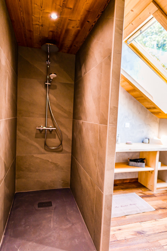 perce-neige-sdb1-1116662 perce-neige-sdb1-1116662