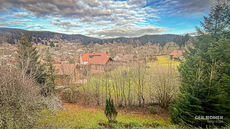 gt004-vue2-1332480