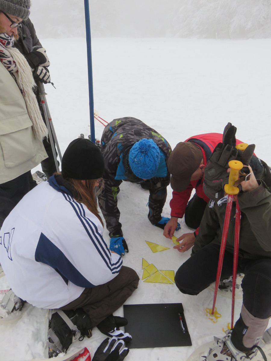 img-0723-1282419
