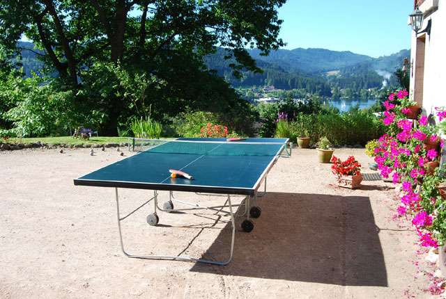 location vacances appartement gerardmer vosges G0149