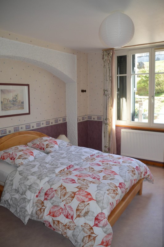 location-vacances-appartement-gerardmer-vue-lac-GS058-A375A