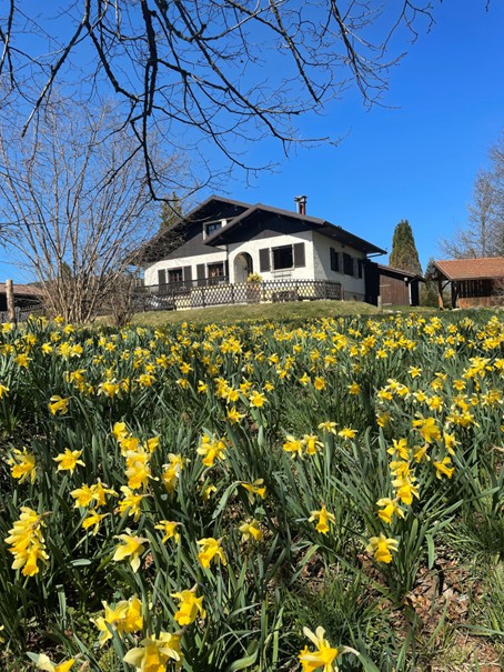 location vacances chalet gerardmer GI006