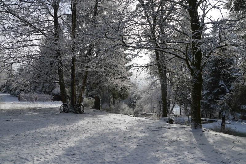 gs058-c975a-jardin-hiver-964336