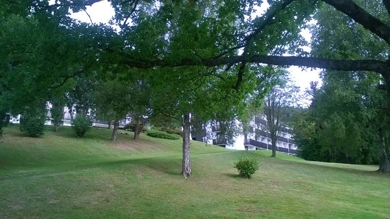 location vacances studio vosges gerardmer GF014