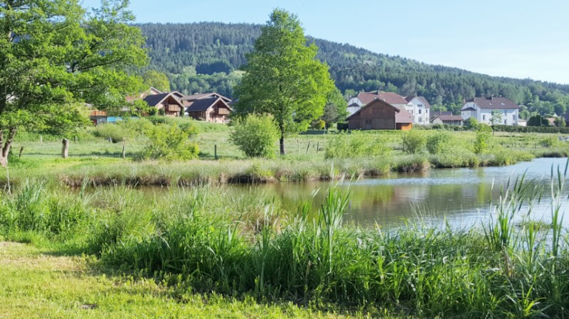 location-vacances-vosges-julienrupt syndicat edelweiss chalet