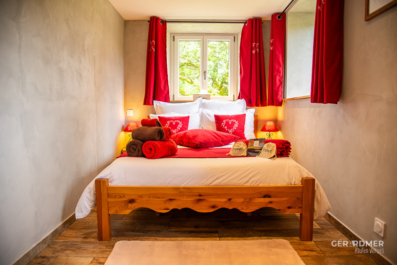 rochesfleuries-jonquilles2-1295926 rochesfleuries-jonquilles2-1295926