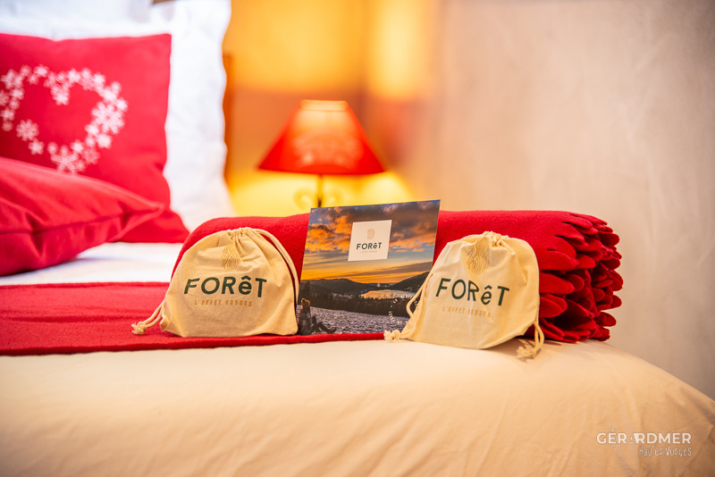 rochesfleuries-jonquilles4-1295928 rochesfleuries-jonquilles4-1295928