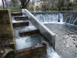d-cembre-2012-la-passe-poisson-fonctionne-1281423