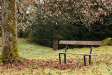 gi006-banc-automne-1451383