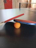 gs080-ping-pong-1290829