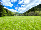 gm038-terrain-1286669