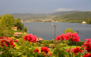 Room 131249-343544 Room 131249-343544