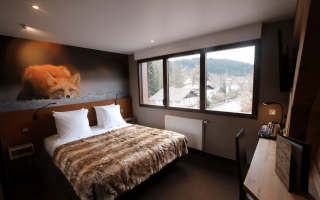 Room 462339-1121624 Room 462339-1121624