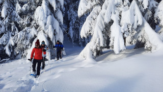 20210108-103800-1237585 20210108-103800-1237585