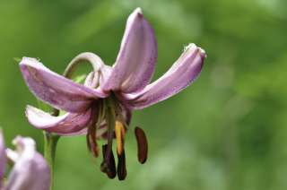 3038e58e639905208472c89b12d8edf1-1434766 3038e58e639905208472c89b12d8edf1-1434766
