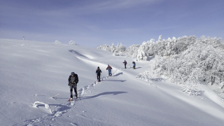 35c9ed96b94ab774326a761fb1cf4b8b-1393423 35c9ed96b94ab774326a761fb1cf4b8b-1393423