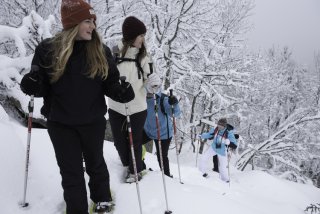 7f87327612543483ba14dc0e52dfc349-1393414 7f87327612543483ba14dc0e52dfc349-1393414