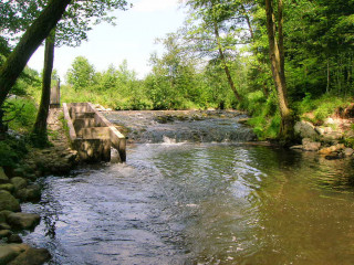 au-fils-de-l-eau-1281424