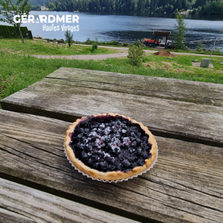 brimbelles-tarte-1268633 brimbelles-tarte-1268633