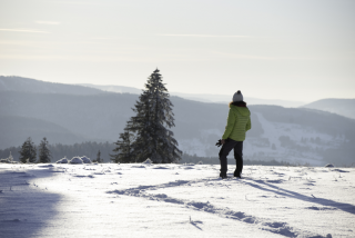 d39baf5e7259b53eec6fc9004d2c2265-1393422 d39baf5e7259b53eec6fc9004d2c2265-1393422