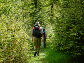 rando-aniquet-117-1241122