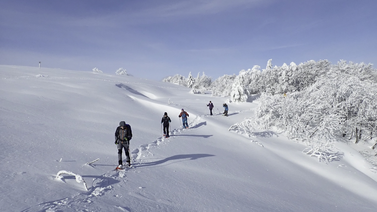 35c9ed96b94ab774326a761fb1cf4b8b-1393423 35c9ed96b94ab774326a761fb1cf4b8b-1393423