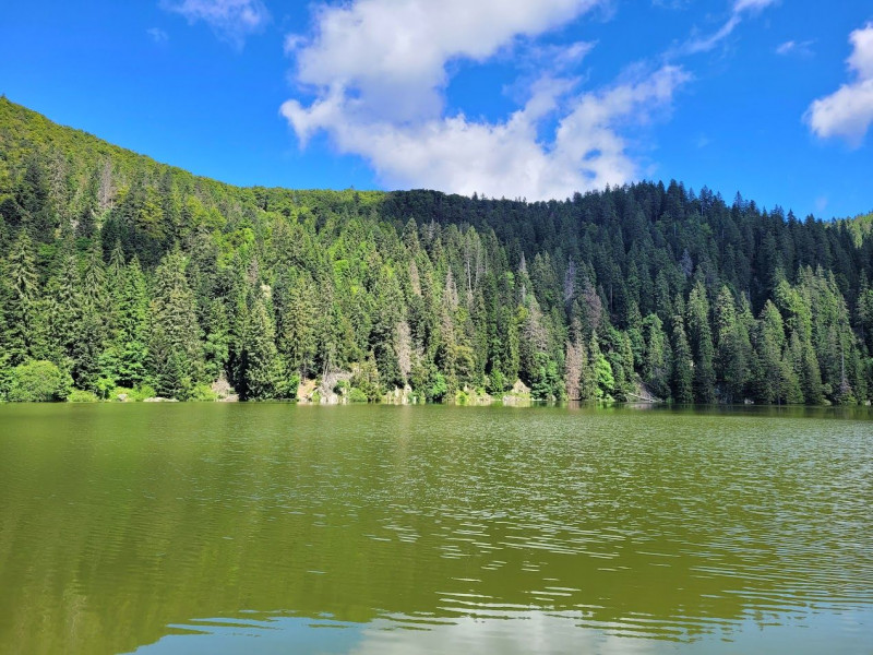 5651139540-1419927 5651139540-1419927