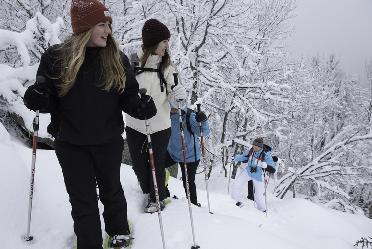 7f87327612543483ba14dc0e52dfc349-1393414 7f87327612543483ba14dc0e52dfc349-1393414