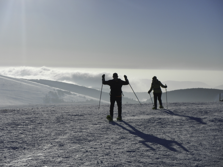 8c8542a01df2da4f6701499357af3099-1393421 8c8542a01df2da4f6701499357af3099-1393421