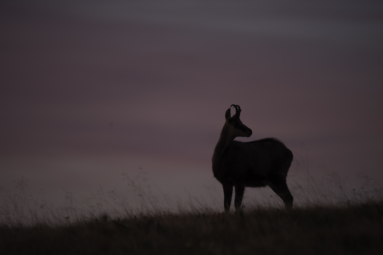 9ea4f87ebe7861b7a9fb0ab3e87dffe8-1406871