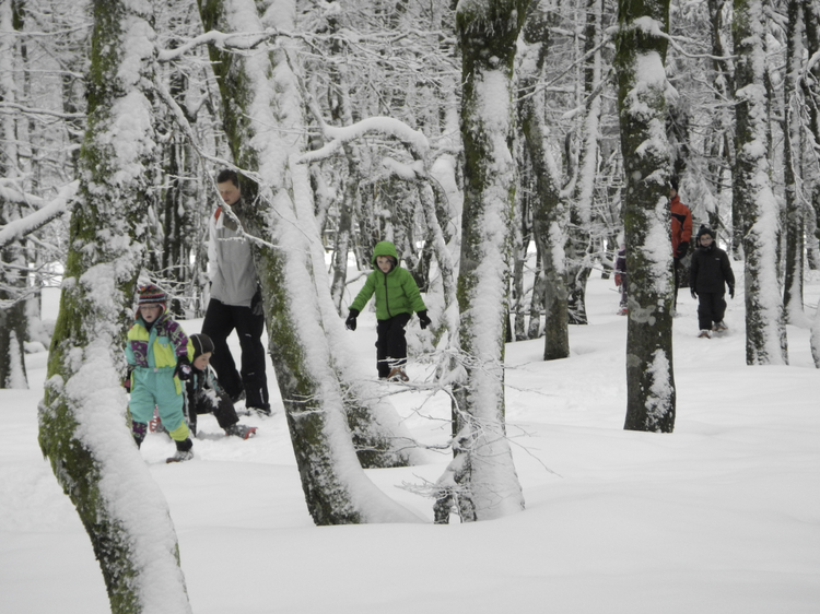 bade01cf26e78c593404abd273bc4f9e-1393415 bade01cf26e78c593404abd273bc4f9e-1393415