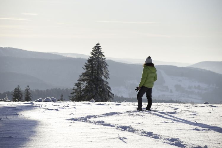 d39baf5e7259b53eec6fc9004d2c2265-1393422 d39baf5e7259b53eec6fc9004d2c2265-1393422