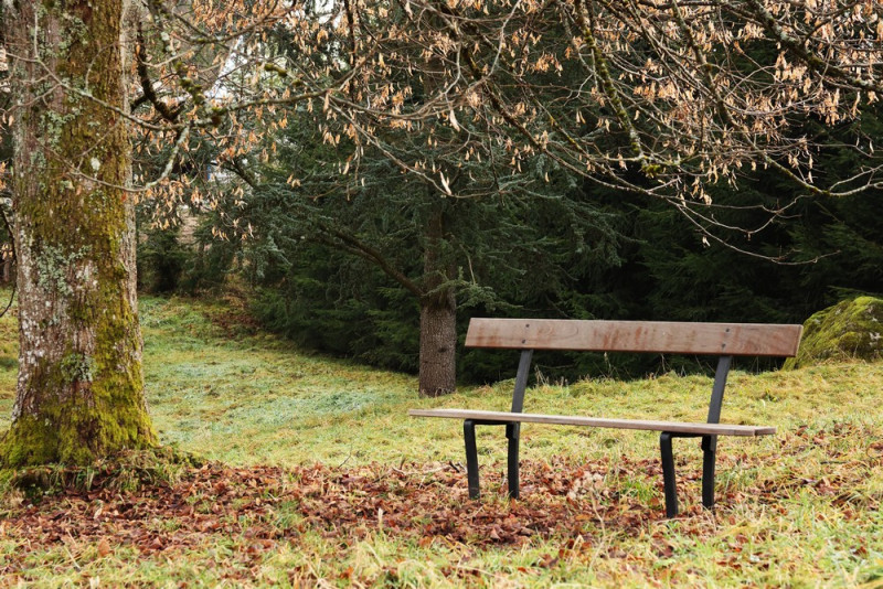 gi006-banc-automne-1451383