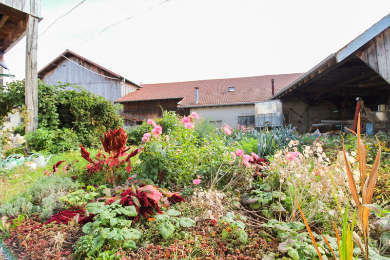 gl025-fleurs-1195349 gl025-fleurs-1195349