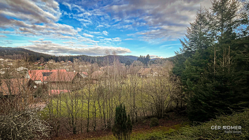 gt004-vue3-1332481 gt004-vue3-1332481