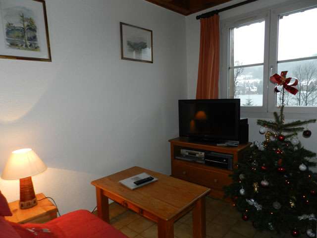 gg008-salon-151579 gg008-salon-151579